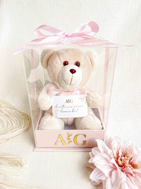 Caixa Grande Daminha 23X16x16 (Cartonagem + TAMPA ACRÍLICO) - URSO